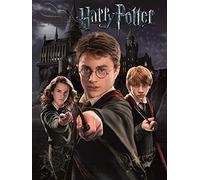 Pyramid International HARRY POTTER (HARRY RON HERMIONE) - 30X40