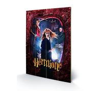 Pyramid International Harry Potter Hermione Wood Print 40 x 59cm, Multi-Colour,