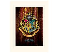 Pyramid International Harry Potter Hogwarts Crest Mounted Print Memorabilia, Multi-Colour, 30 x 40 x 1.3 cm