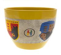 Artze Wall Art Harry Potter Hogwarts House Crests Large Ceramic Huggy Mug in Presentation Box - Official Merchandise