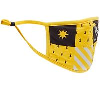 Pyramid International HARRY POTTER Hufflepuff Face Covers, Triple Layer Filtration, 100% Cotton, Machine Washable, Pack of 2 - Official Merchandise
