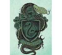 Pyramid International HARRY POTTER Large Canvas Print Slytherin 60cm x 80cm - Official Merchandise