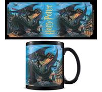 Pyramid International Harry Potter Mug in Presentation Gift Box (Anything is Possible Design) 11oz Ceramic Mug - Official Merchandise, Pink