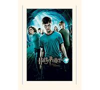Pyramid International Harry Potter Order of The Phoenix Mounted Print Memorabilia, Multi-Colour, 30 x 40 x 1.3 cm