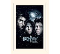 Pyramid International Harry Potter Prisoner of Azkaban Mounted Print Memorabilia, Multi-Colour, 30 x 40 x 1.3 cm