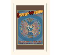 Pyramid International Harry Potter (Seeker Weekly) -Mounted Print Memorabilia 30 x 40cm, Paper, Multicoloured, 30 x 40 x 1.3 cm