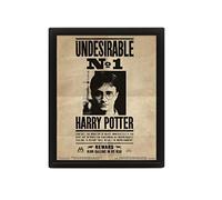 Pyramid International HARRY POTTER Sirius Black 3D Lenticular Poster of 25cm x 20cm x 1.3cm in Box Frame - Official Merchandise