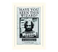 Pyramid International Harry Potter Sirius Wanted Mounted Print Memorabilia, Multi-Colour, 30 x 40 x 1.3 cm