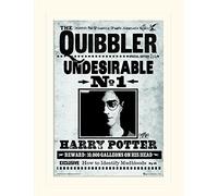 Pyramid International Harry Potter (The Quibbler) 30 x 40cm Mounted Print