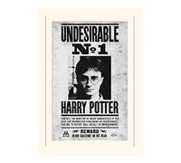 Pyramid International Harry Potter Undesirable No1 Mounted Print Memorabilia, Multi-Colour, 30 x 40 x 1.3 cm
