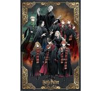 Pyramid International HARRY POTTER WIZARD DYNASTY (CHARACTERS) MAXI POSTER