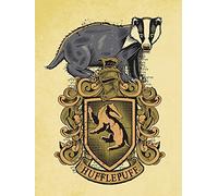 Pyramid International "Hufflepuff Harry Potter Canvas Print, Multi-Colour, 60 x 80 x 1.3 cm