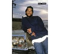 Pyramid International Ice Cube (Impala) Maxi Poster 60cm x 90cm