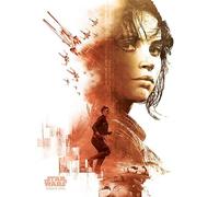 Pyramid International "Jyn Red Star Wars Rogue One Canvas Print, Multi-Colour, 60 x 80 cm