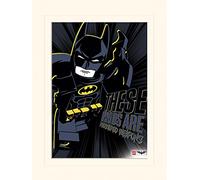 Pyramid International Lego Batman (Registered Weapons) -Mounted Print Memorabilia 30 x 40cm, Paper, Multicoloured, 30 x 40 x 1.3 cm