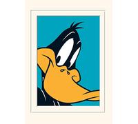 Pyramid International Looney Tunes Daffy Duck Mounted Print Memorabilia, Multi-Colour, 30 x 40 x 1.3 cm