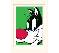 Pyramid International Looney Tunes (Sylvester) -Mounted Print Memorabilia 30 x 40cm, Paper, Multicoloured, 30 x 40 x 1.3 cm