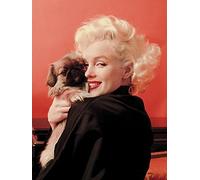 Pyramid International "Marilyn Monroe Love Canvas Print, Multi-Colour, 30 x 40 x 1.3 cm