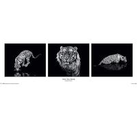 Pyramid International "Marina Cano (Into the Dark) Slim Poster, Multi-Colour, 30 x 91.5 cm