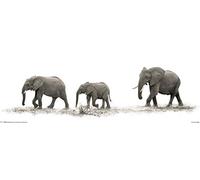 Pyramid International "Mario Moreno (The Elephants) Slim Poster, Multi-Colour, 30 x 91.5 cm