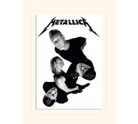 Pyramid International Metallica Twisted Band Mounted Print Memorabilia, Multi-Colour, 30 x 40 x 1.3 cm