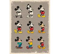 Pyramid International Mickey Mouse (Evolution) -Canvas Print 30 x 40cm, Wood, Multicolour, 30 x 40 x 1.3 cm