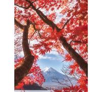 Pyramid International Mount Fuji Canvas Print in Off-White Pyramid International Off-White