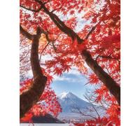 Pyramid International Mount Fuji Canvas Print White/red/blue (50Cm X 40Cm)