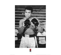 Pyramid International "Muhammad Ali Pose Paper Art Print, Multi-Colour, 60 x 80 x 1.3 cm