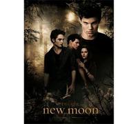 Pyramid International Neca, New Moon 3D Lenticular Poster