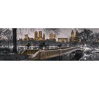 Pyramid International "New York - Bow Bridge Central Park Slim Poster, Multi-Colour, 30 x 91.5 cm