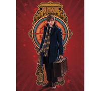 Pyramid International "Newt Fantastic Beasts Canvas Print, Multi-Colour, 60 x 80 x 1.3 cm