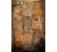 Pyramid International "Notebook Pages Fantastic Beasts Maxi Poster, Multi-Colour, 61 x 91.5 x 1.3 cm