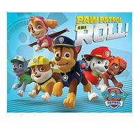 Pyramid International On A Roll Paw Patrol Mini Poster, Plastic/Glass, Multi-Colour, 40 x 50 x 1.3 cm