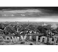 Pyramid International "One Too Many Drinks Thomas Barbey Maxi Poster, Multi-Colour, 61 x 91.5 x 1.3 cm