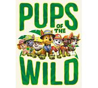 Pyramid International Paw Patrol Canvas Print, Multi-Colour, 60 x 80 x 1.3 cm