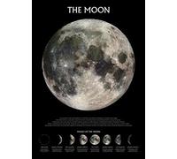 Pyramid International "Phases The Moon Maxi Poster, Multi-Colour, 61 x 91.5 x 1.3 cm