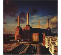 Pyramid International Pink Floyd Animals Print Cover Poster 31 x 31 cm