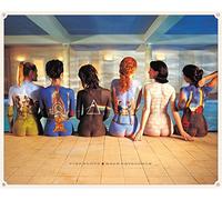 Pyramid International "Pink Floyd Back Catalogue Canvas Print, Cotton, Multi-Colour, 1.80 x 85.00 x 120.00 cm