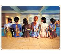 Pyramid International Pink Floyd Back Catalogue Canvas Print, Wood, Multi-Colour, 30 x 40 x 1.3 cm