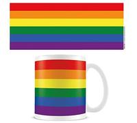 Pyramid International Pride Flag Mug (One Size) (Multicoloured)