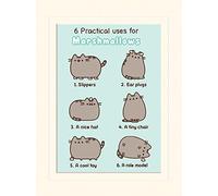 Pyramid International Pusheen (Practical Uses for Marshmallows) -Mounted Print Memorabilia 30 x 40cm, Paper, Multicoloured, 30 x 40 x 1.3 cm