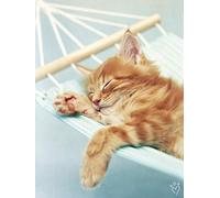 Pyramid International Rachael Hale Brian Canvas Print, Multi-Colour, 30 x 40 cm