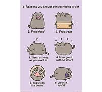 Pyramid International Reasons to be a Cat Pusheen Maxi Poster, Plastic/Glass, Multi-Colour, 61 x 91.5 x 1.3 cm, Living Room