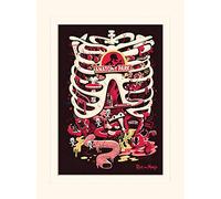Pyramid International Rick and Morty Anatomy Park Mounted Print Memorabilia, Multi-Colour, 30 x 40 x 1.3 cm