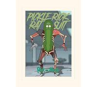 Pyramid International Rick and Morty Pickle Rick Mounted Print Memorabilia, Multi-Colour, 30 x 40 x 1.3 cm