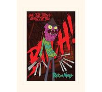 Pyramid International Rick and Morty Scary Terry Mounted Print Memorabilia, Multi-Colour, 30 x 40 x 1.3 cm
