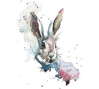 Pyramid International Sarah Stokes March Hare 60x80cm Canvas Print, Multi-Colour