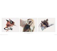 Pyramid International "Sarah Stokes (Patience & Innocence) Slim Poster, Multi-Colour, 30 x 91.5 cm