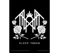 Pyramid International Sleep Token (Logo) Collector Print (Framed) - Collector Print Poster (Framed) - Wall Art for Fans - Official Merchandise - One Size